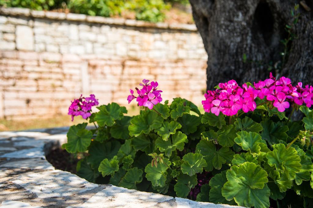 Krouzeri Nisaki (Corfu)